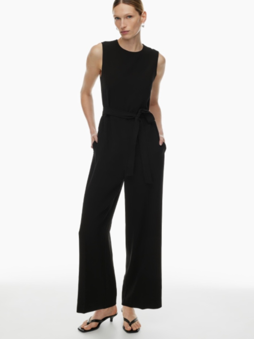 NWT Aritzia Babaton Office Jumpsuit
